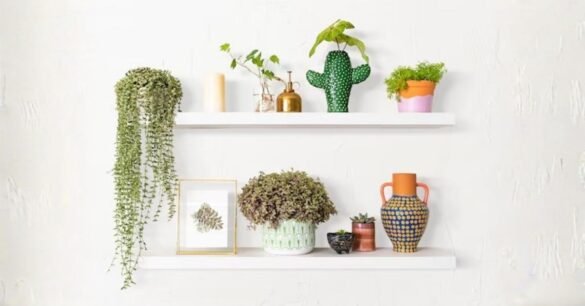 Bookshelf Decor