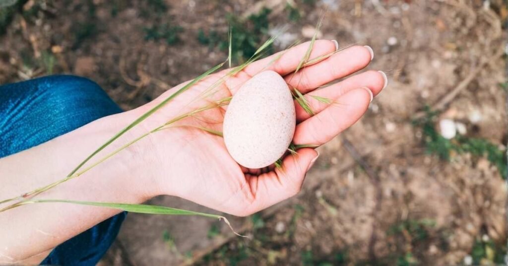 hand and stone plano