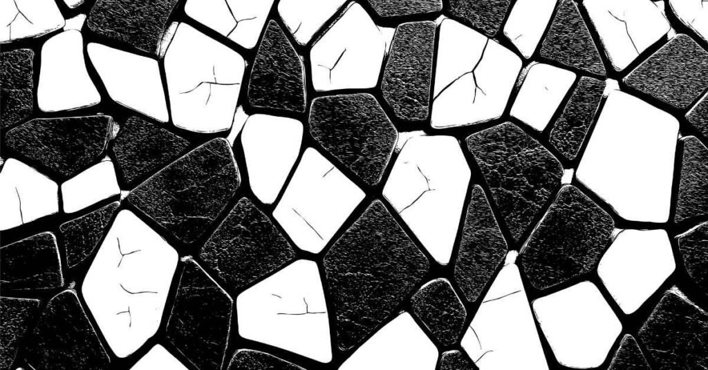 Black White Floor Tile