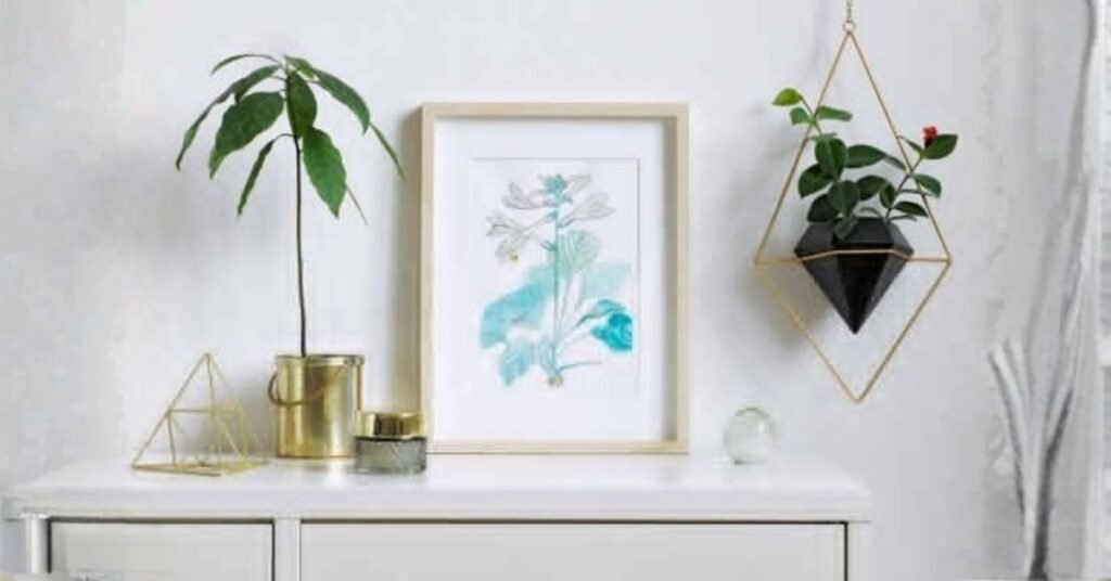 decorative wall accents
